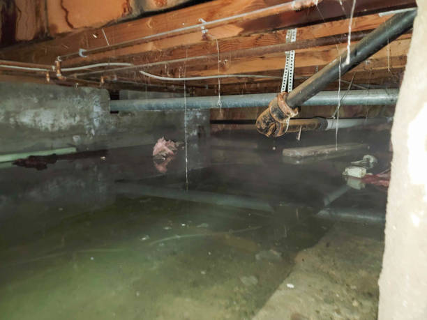 Water damage restoration process in Richmond Heights, MO