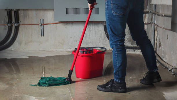 Best Water damage repair service  in Richnd Heights, MO