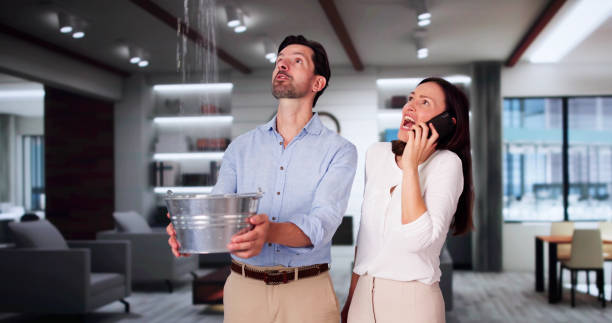Best Sewage cleanup and water damage restoration  in Richnd Heights, MO