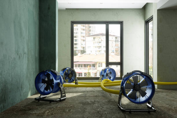 Best Water damage restoration near me  in Richnd Heights, MO